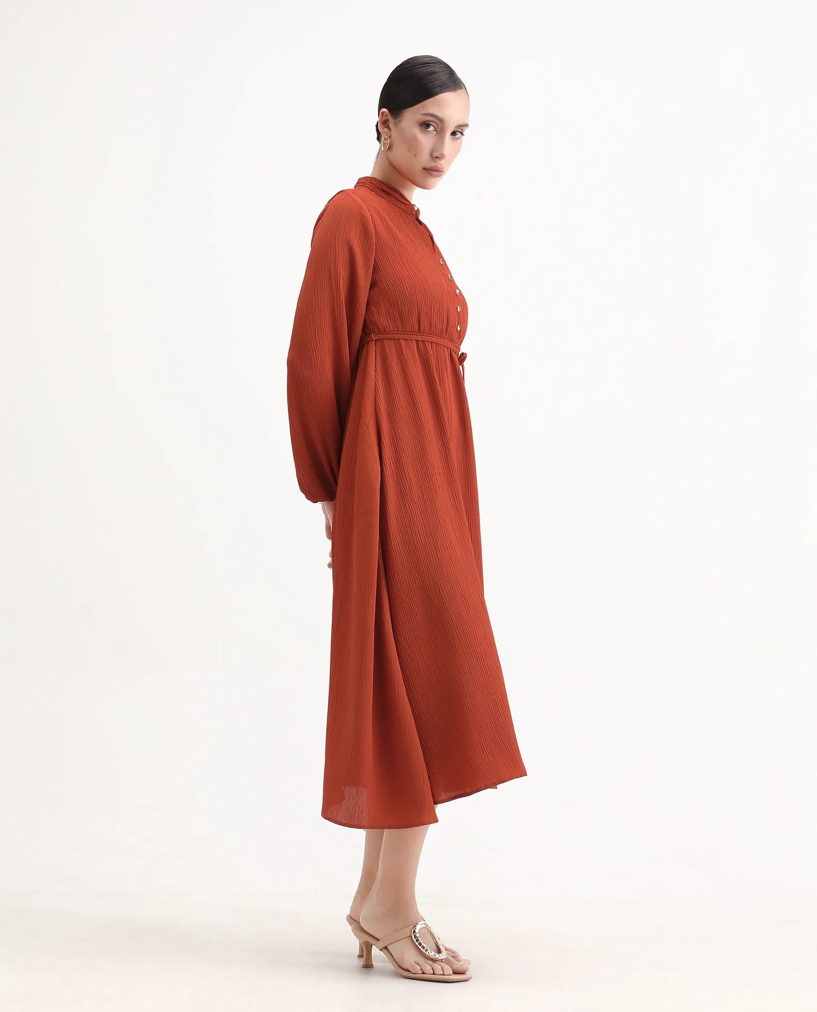 Rareism Women's Aviure Rust Polyester Band Collar Fit And Flare Plain Midi Dress - Image 6