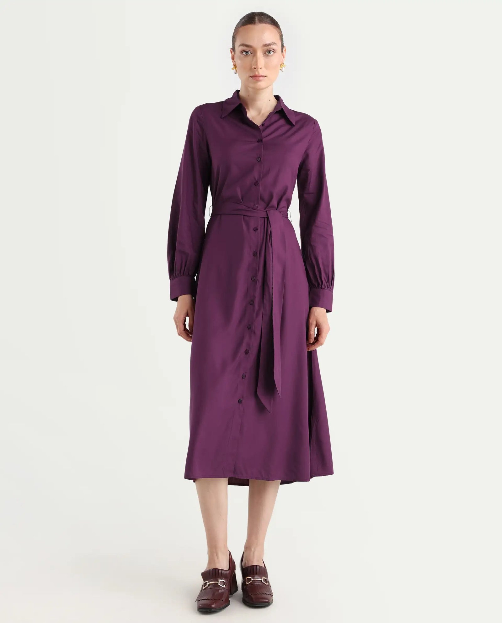 Rareism Women's Eleia Maroon Viscose Collared Neck A-Line Plain Midi Dress - Image 2