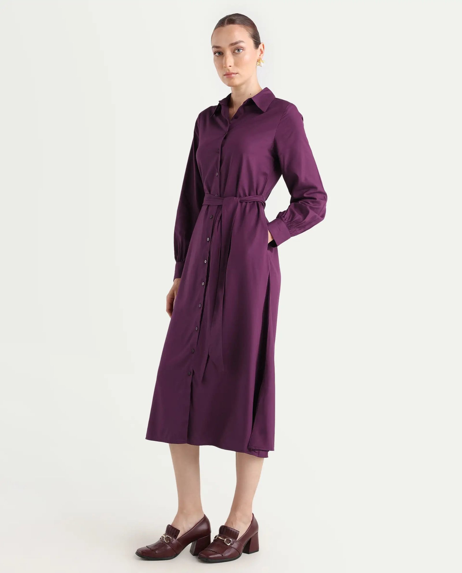 Rareism Women's Eleia Maroon Viscose Collared Neck A-Line Plain Midi Dress - Image 6