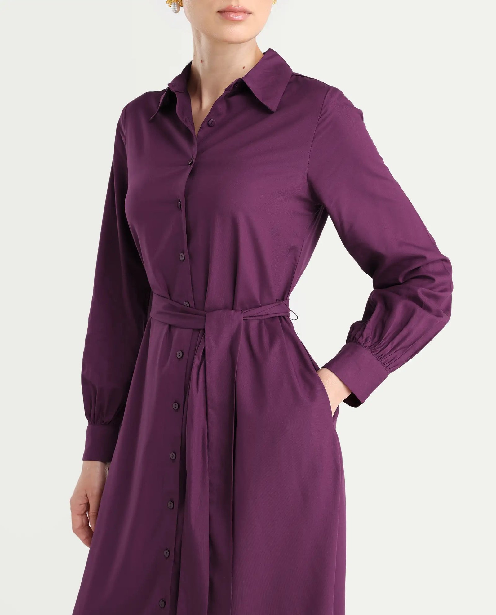 Rareism Women's Eleia Maroon Viscose Collared Neck A-Line Plain Midi Dress - Image 5